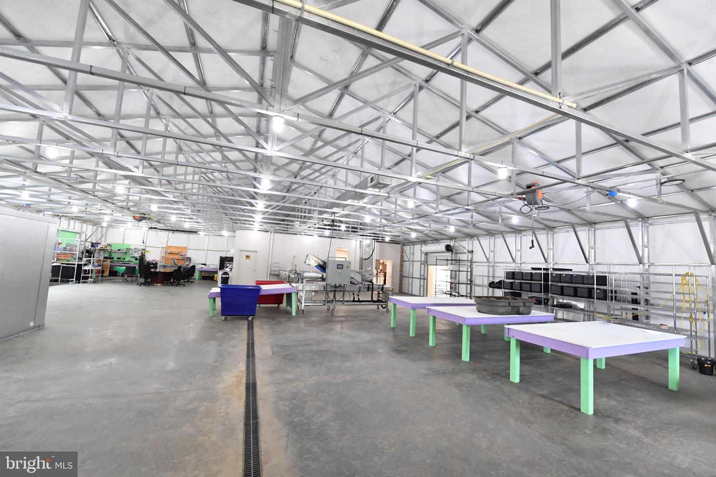 1070 WADESVILLE RD, BERRYVILLE, Virginia 22611, ,Farm,For Sale,1070 WADESVILLE RD,VACL2003758 MLS # VACL2003758 1070 WADESVILLE RD, BERRYVILLE, Virginia 22611, ,Farm,For Sale,1070 WADESVILLE RD,VACL2003758 MLS # VACL2003758