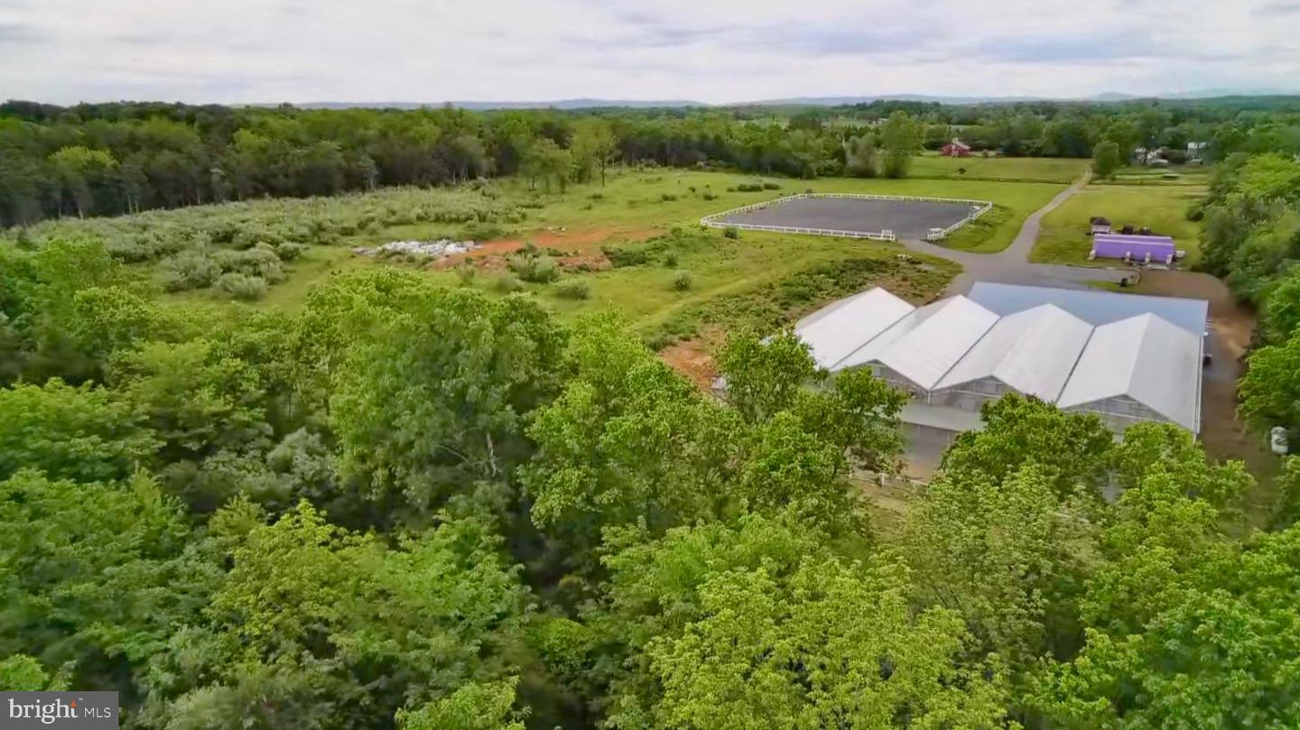 1070 WADESVILLE RD, BERRYVILLE, Virginia 22611, ,Farm,For Sale,1070 WADESVILLE RD,VACL2003758 MLS # VACL2003758 1070 WADESVILLE RD, BERRYVILLE, Virginia 22611, ,Farm,For Sale,1070 WADESVILLE RD,VACL2003758 MLS # VACL2003758