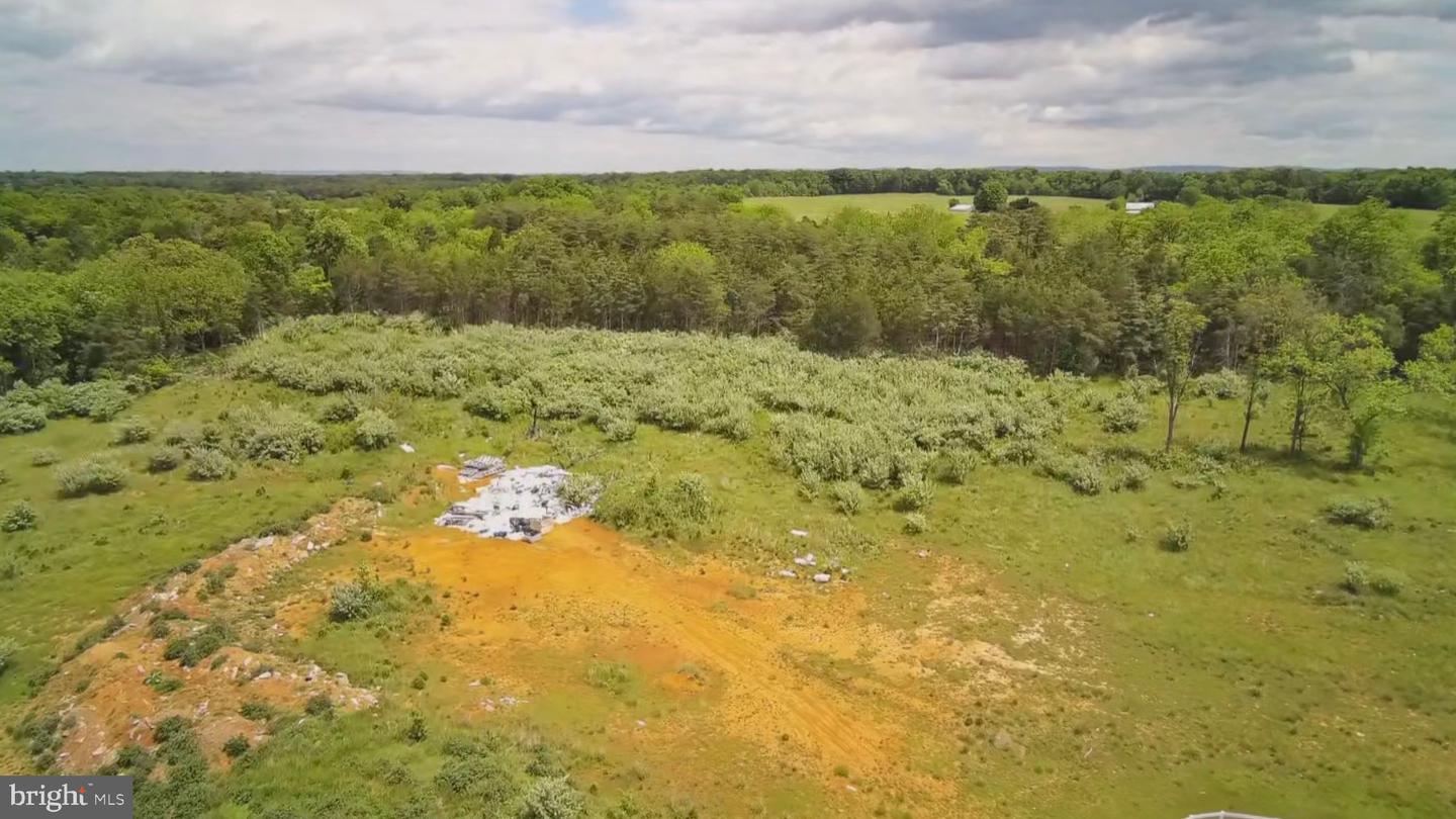 1070 WADESVILLE RD, BERRYVILLE, Virginia 22611, ,Farm,For Sale,1070 WADESVILLE RD,VACL2003758 MLS # VACL2003758 1070 WADESVILLE RD, BERRYVILLE, Virginia 22611, ,Farm,For Sale,1070 WADESVILLE RD,VACL2003758 MLS # VACL2003758