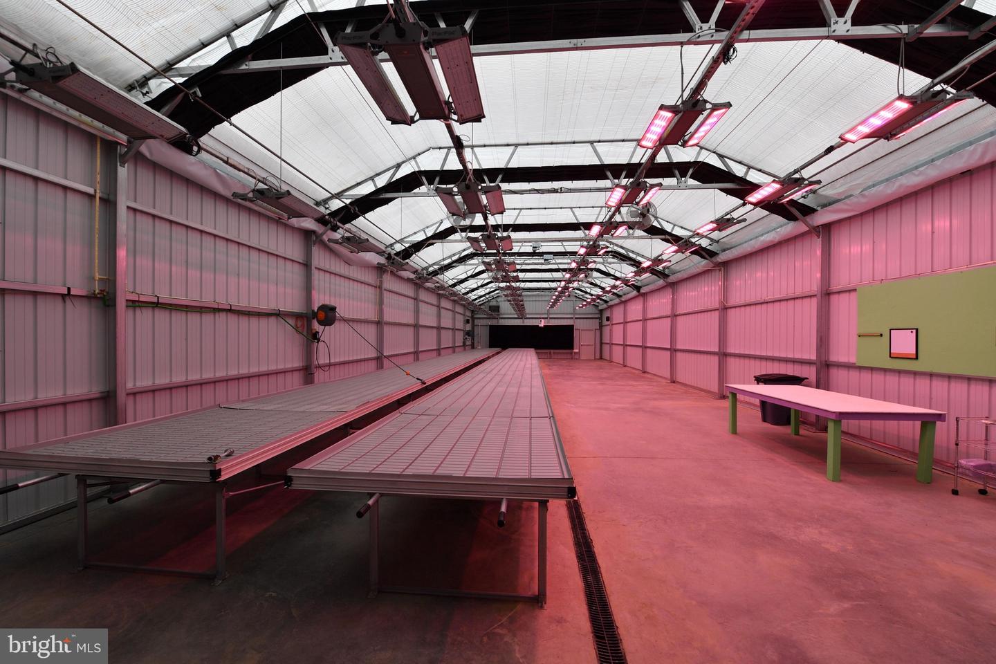 1070 WADESVILLE RD, BERRYVILLE, Virginia 22611, ,Farm,For Sale,1070 WADESVILLE RD,VACL2003758 MLS # VACL2003758 1070 WADESVILLE RD, BERRYVILLE, Virginia 22611, ,Farm,For Sale,1070 WADESVILLE RD,VACL2003758 MLS # VACL2003758