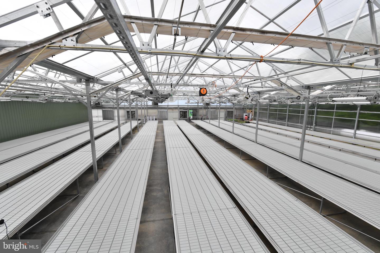 1070 WADESVILLE RD, BERRYVILLE, Virginia 22611, ,Farm,For Sale,1070 WADESVILLE RD,VACL2003758 MLS # VACL2003758 1070 WADESVILLE RD, BERRYVILLE, Virginia 22611, ,Farm,For Sale,1070 WADESVILLE RD,VACL2003758 MLS # VACL2003758