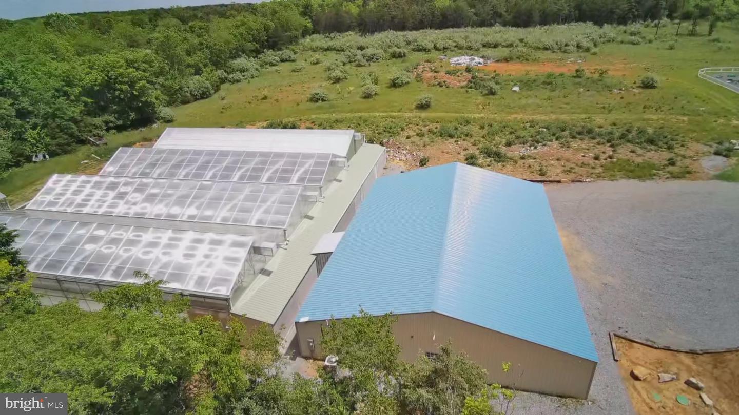 1070 WADESVILLE RD, BERRYVILLE, Virginia 22611, ,Farm,For Sale,1070 WADESVILLE RD,VACL2003758 MLS # VACL2003758 1070 WADESVILLE RD, BERRYVILLE, Virginia 22611, ,Farm,For Sale,1070 WADESVILLE RD,VACL2003758 MLS # VACL2003758