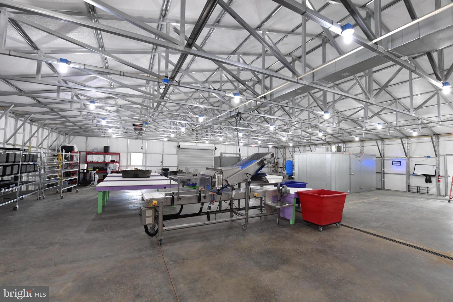 1070 WADESVILLE RD, BERRYVILLE, Virginia 22611, ,Farm,For Sale,1070 WADESVILLE RD,VACL2003758 MLS # VACL2003758 1070 WADESVILLE RD, BERRYVILLE, Virginia 22611, ,Farm,For Sale,1070 WADESVILLE RD,VACL2003758 MLS # VACL2003758