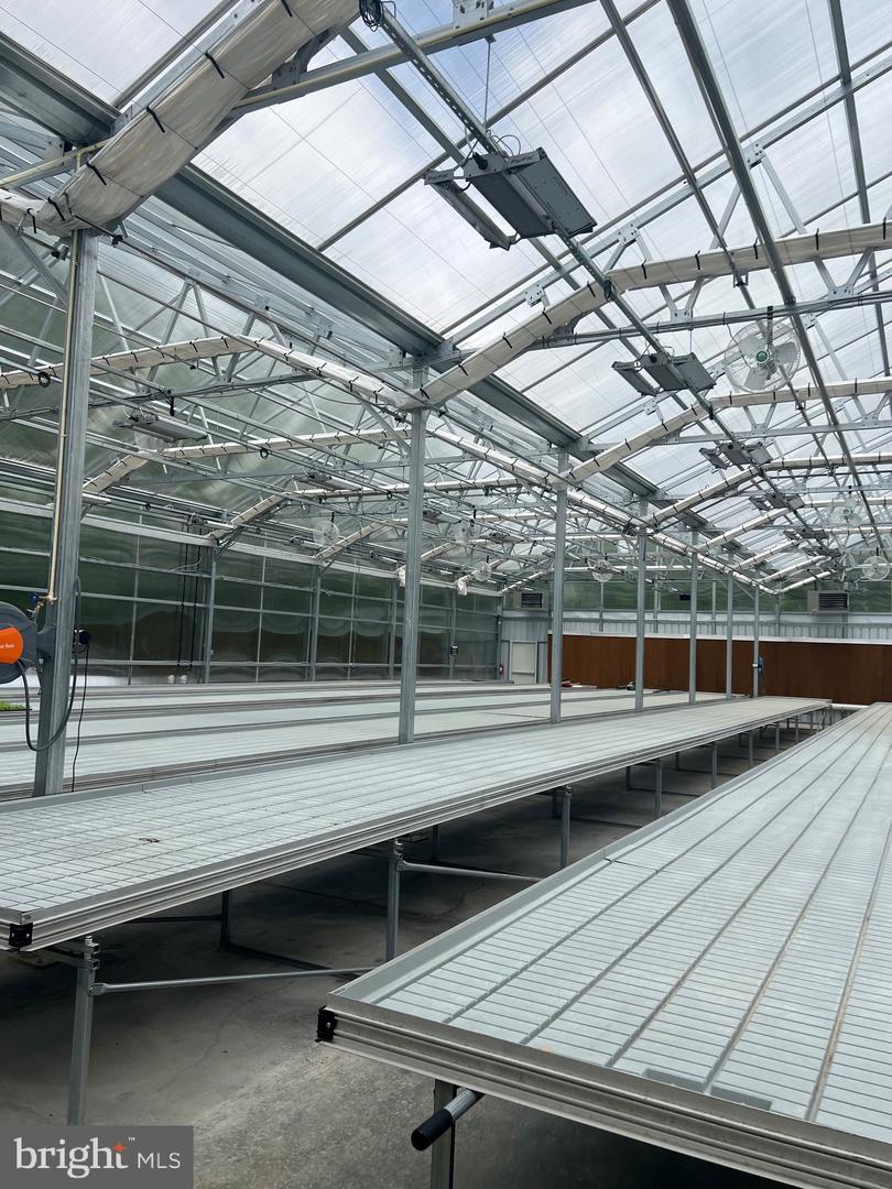 1070 WADESVILLE RD, BERRYVILLE, Virginia 22611, ,Farm,For Sale,1070 WADESVILLE RD,VACL2003758 MLS # VACL2003758 1070 WADESVILLE RD, BERRYVILLE, Virginia 22611, ,Farm,For Sale,1070 WADESVILLE RD,VACL2003758 MLS # VACL2003758