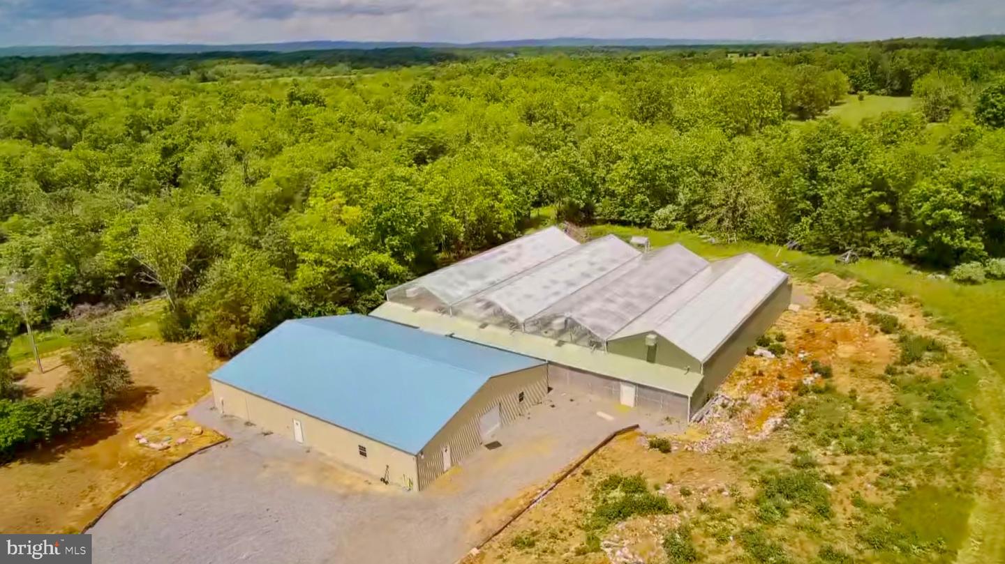 1070 WADESVILLE RD, BERRYVILLE, Virginia 22611, ,Farm,For Sale,1070 WADESVILLE RD,VACL2003758 MLS # VACL2003758 1070 WADESVILLE RD, BERRYVILLE, Virginia 22611, ,Farm,For Sale,1070 WADESVILLE RD,VACL2003758 MLS # VACL2003758