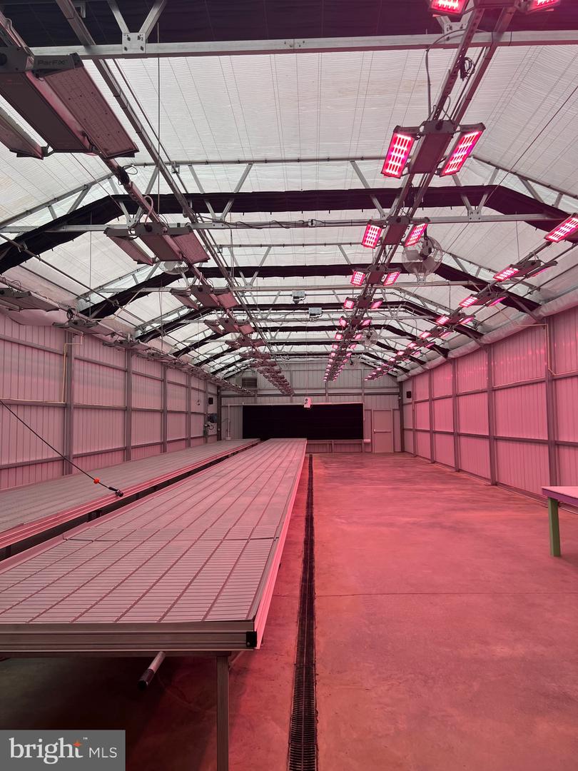 1070 WADESVILLE RD, BERRYVILLE, Virginia 22611, ,Farm,For Sale,1070 WADESVILLE RD,VACL2003758 MLS # VACL2003758 1070 WADESVILLE RD, BERRYVILLE, Virginia 22611, ,Farm,For Sale,1070 WADESVILLE RD,VACL2003758 MLS # VACL2003758