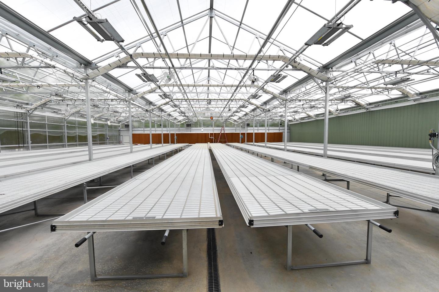 1070 WADESVILLE RD, BERRYVILLE, Virginia 22611, ,Farm,For Sale,1070 WADESVILLE RD,VACL2003758 MLS # VACL2003758 1070 WADESVILLE RD, BERRYVILLE, Virginia 22611, ,Farm,For Sale,1070 WADESVILLE RD,VACL2003758 MLS # VACL2003758