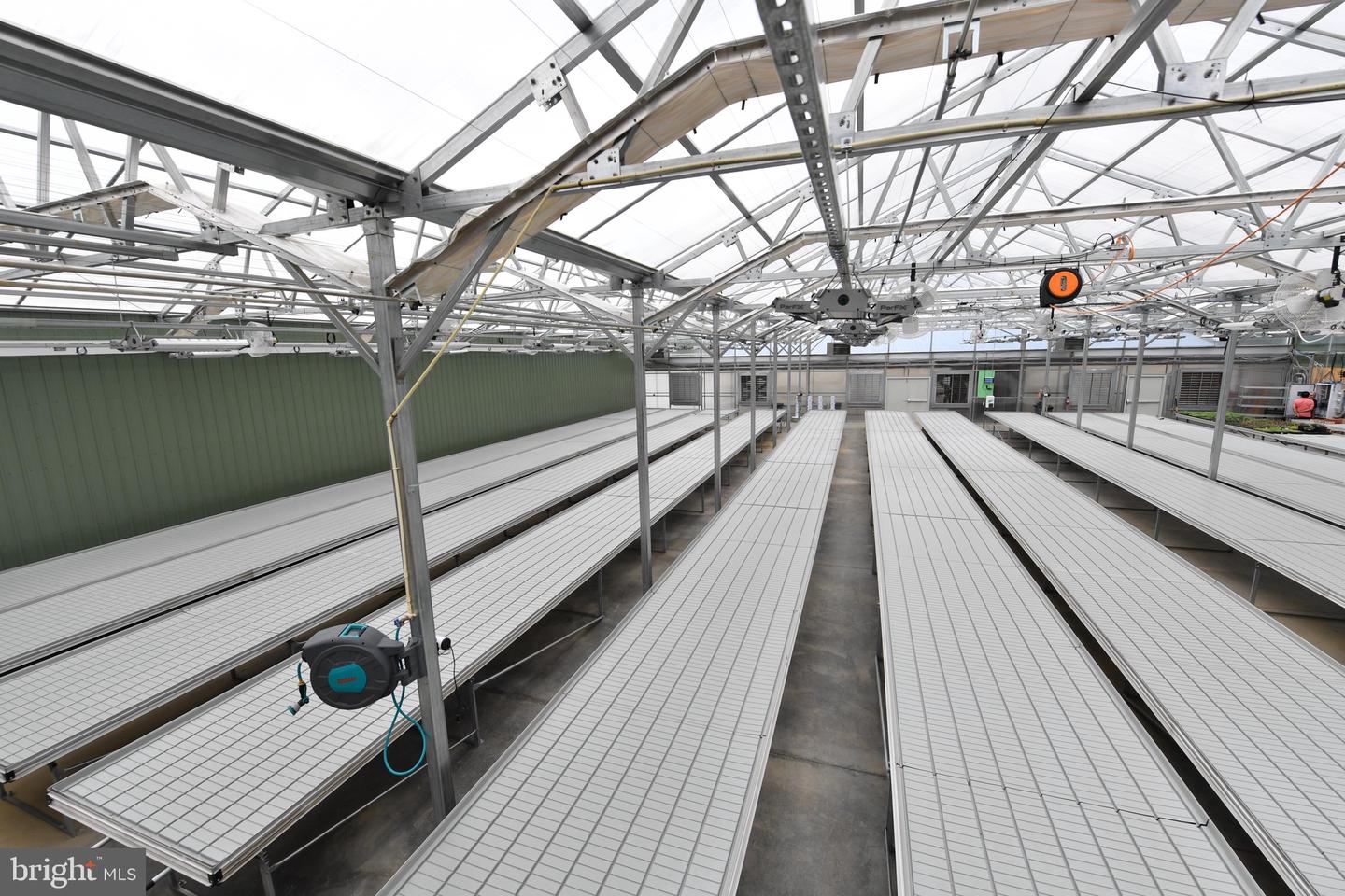 1070 WADESVILLE RD, BERRYVILLE, Virginia 22611, ,Farm,For Sale,1070 WADESVILLE RD,VACL2003758 MLS # VACL2003758 1070 WADESVILLE RD, BERRYVILLE, Virginia 22611, ,Farm,For Sale,1070 WADESVILLE RD,VACL2003758 MLS # VACL2003758