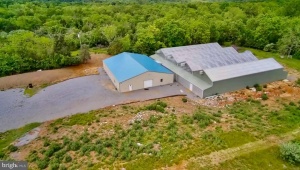 1070 WADESVILLE RD, BERRYVILLE, Virginia 22611, ,Farm,For Sale,1070 WADESVILLE RD,VACL2003758 MLS # VACL2003758