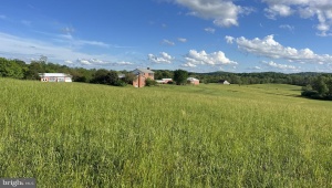 3542 SLATE MILLS RD SPERRYVILLE Virginia 22740