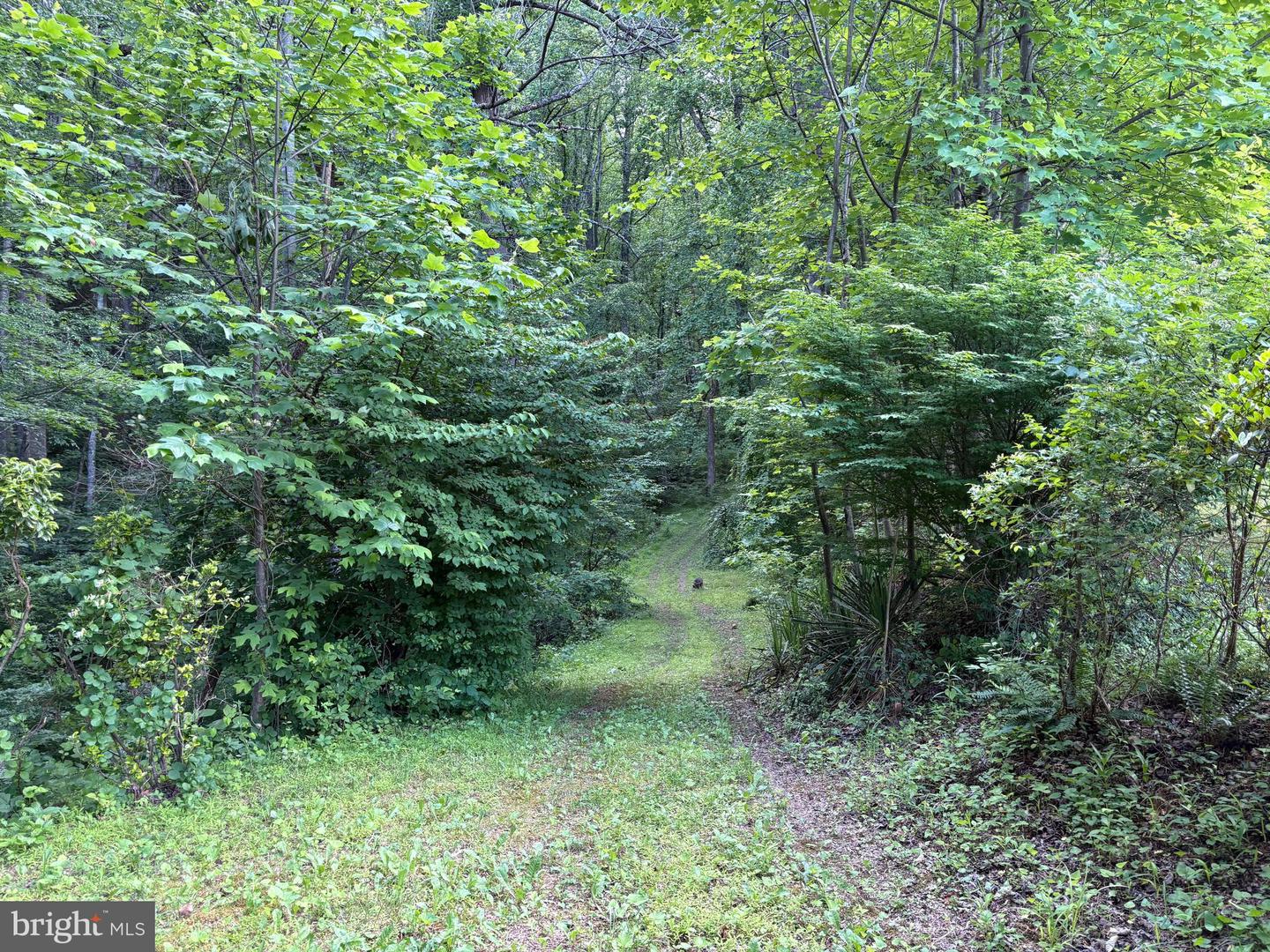 60 MOUNTAIN BREEZE LN, SYRIA, Virginia 22743, 5 Bedrooms Bedrooms, ,2 BathroomsBathrooms,Residential,For Sale,60 MOUNTAIN BREEZE LN,VAMA2002242 MLS # VAMA2002242