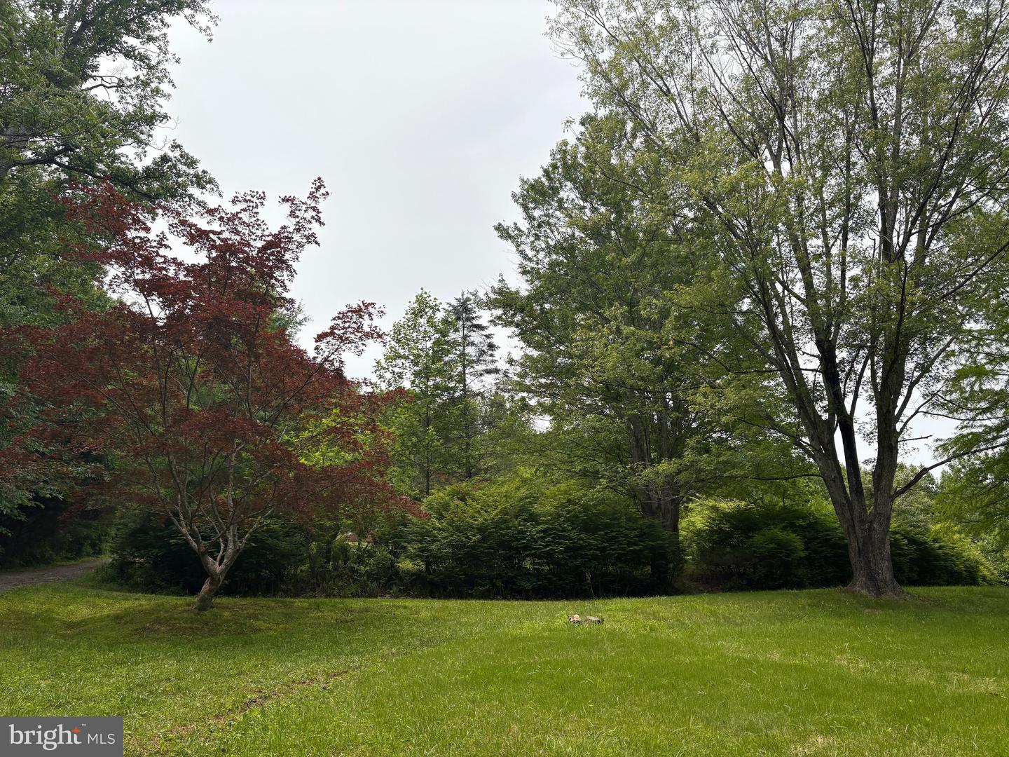 60 MOUNTAIN BREEZE LN, SYRIA, Virginia 22743, 5 Bedrooms Bedrooms, ,2 BathroomsBathrooms,Residential,For Sale,60 MOUNTAIN BREEZE LN,VAMA2002242 MLS # VAMA2002242