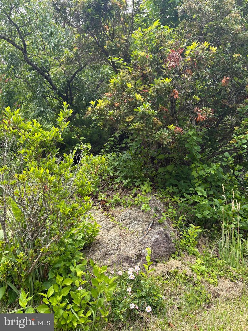 60 MOUNTAIN BREEZE LN, SYRIA, Virginia 22743, 5 Bedrooms Bedrooms, ,2 BathroomsBathrooms,Residential,For Sale,60 MOUNTAIN BREEZE LN,VAMA2002242 MLS # VAMA2002242