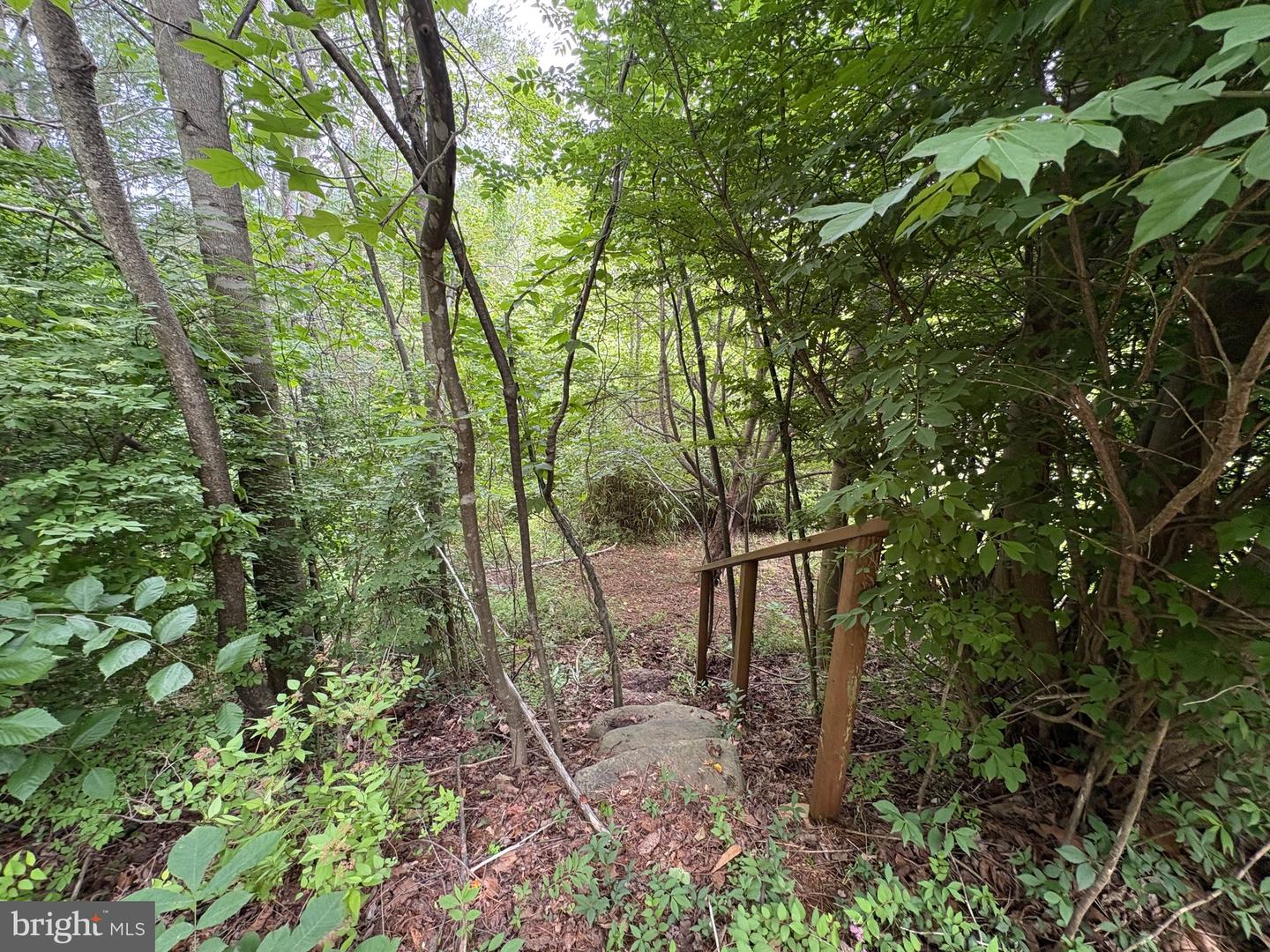 60 MOUNTAIN BREEZE LN, SYRIA, Virginia 22743, 5 Bedrooms Bedrooms, ,2 BathroomsBathrooms,Residential,For Sale,60 MOUNTAIN BREEZE LN,VAMA2002242 MLS # VAMA2002242