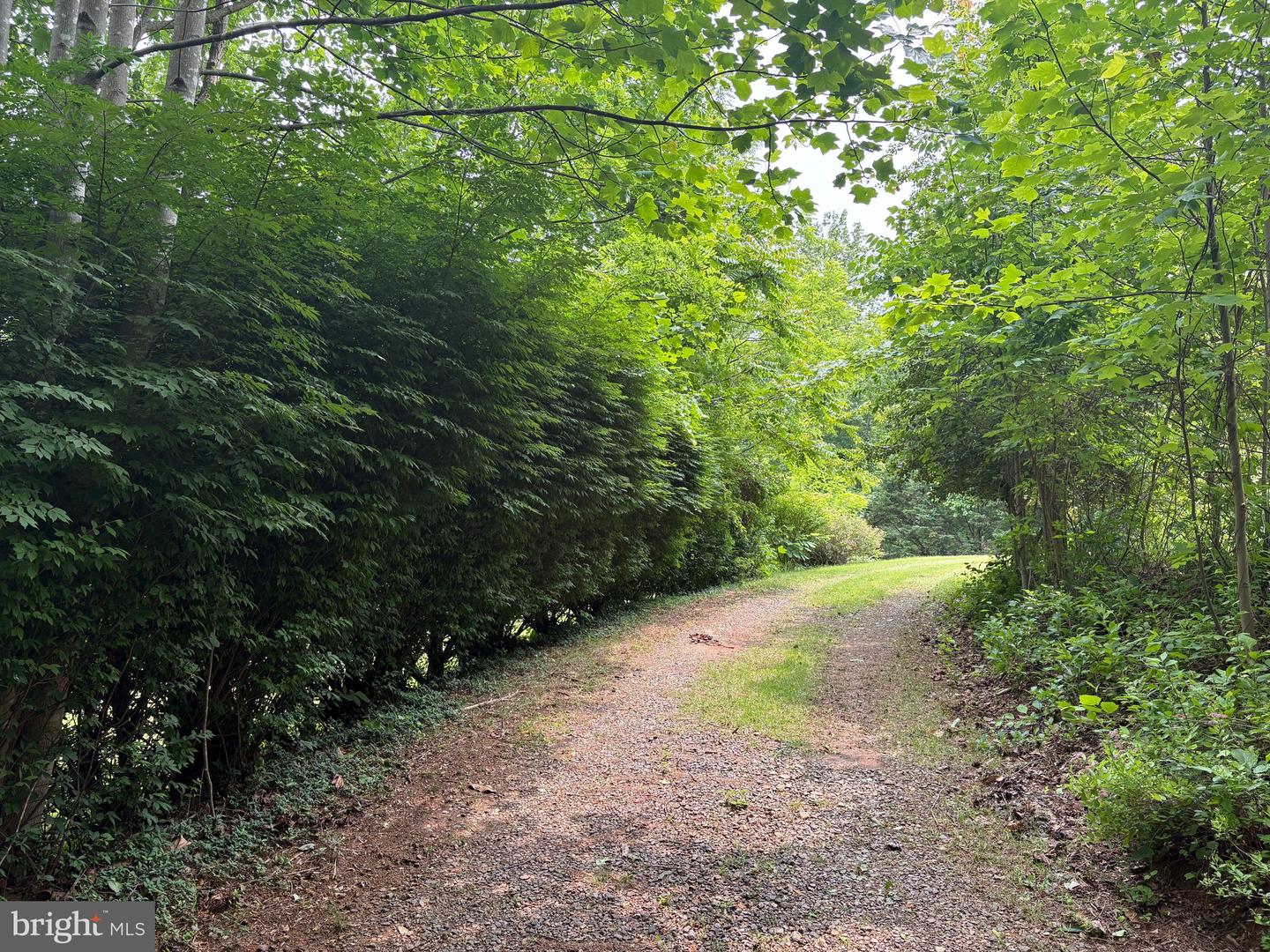 60 MOUNTAIN BREEZE LN, SYRIA, Virginia 22743, 5 Bedrooms Bedrooms, ,2 BathroomsBathrooms,Residential,For Sale,60 MOUNTAIN BREEZE LN,VAMA2002242 MLS # VAMA2002242