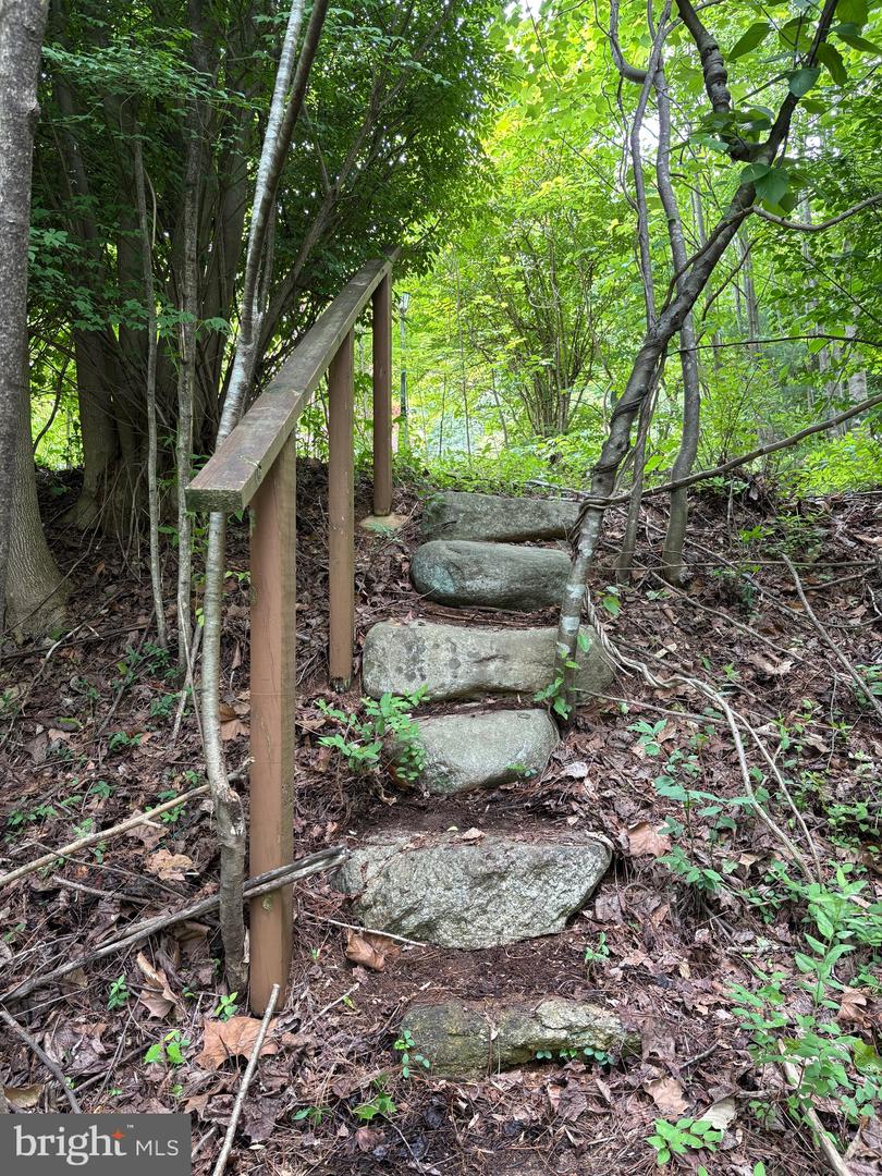 60 MOUNTAIN BREEZE LN, SYRIA, Virginia 22743, 5 Bedrooms Bedrooms, ,2 BathroomsBathrooms,Residential,For Sale,60 MOUNTAIN BREEZE LN,VAMA2002242 MLS # VAMA2002242