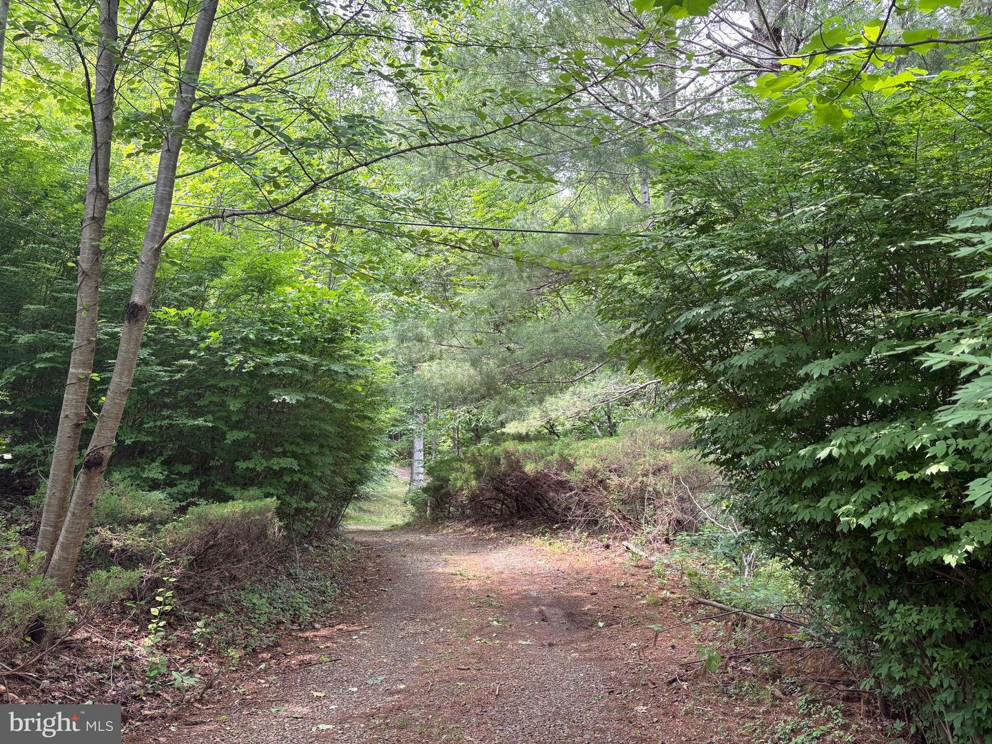 60 MOUNTAIN BREEZE LN, SYRIA, Virginia 22743, 5 Bedrooms Bedrooms, ,2 BathroomsBathrooms,Residential,For Sale,60 MOUNTAIN BREEZE LN,VAMA2002242 MLS # VAMA2002242