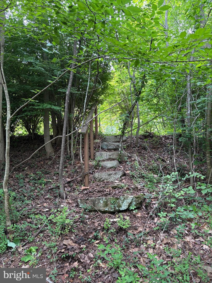 60 MOUNTAIN BREEZE LN, SYRIA, Virginia 22743, 5 Bedrooms Bedrooms, ,2 BathroomsBathrooms,Residential,For Sale,60 MOUNTAIN BREEZE LN,VAMA2002242 MLS # VAMA2002242