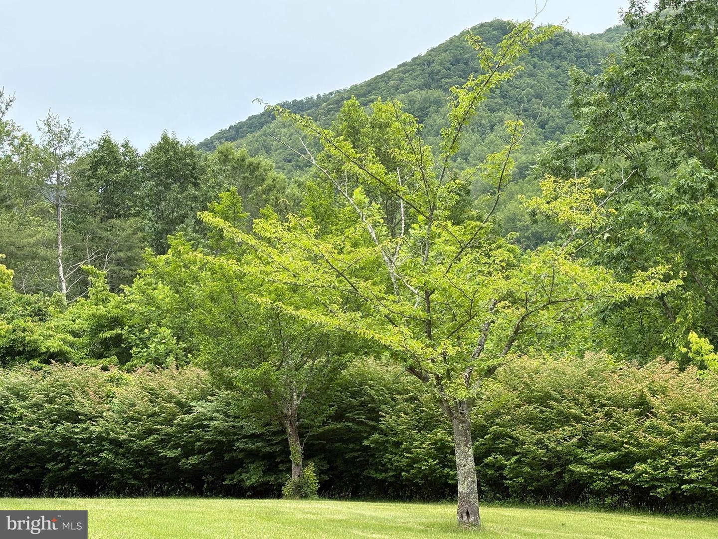 60 MOUNTAIN BREEZE LN, SYRIA, Virginia 22743, 5 Bedrooms Bedrooms, ,2 BathroomsBathrooms,Residential,For Sale,60 MOUNTAIN BREEZE LN,VAMA2002242 MLS # VAMA2002242