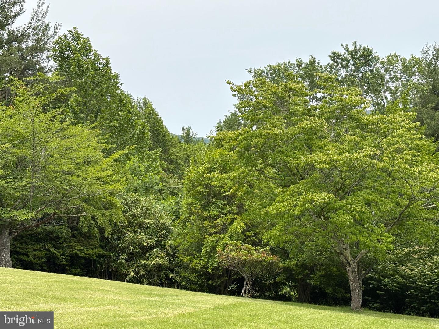 60 MOUNTAIN BREEZE LN, SYRIA, Virginia 22743, 5 Bedrooms Bedrooms, ,2 BathroomsBathrooms,Residential,For Sale,60 MOUNTAIN BREEZE LN,VAMA2002242 MLS # VAMA2002242