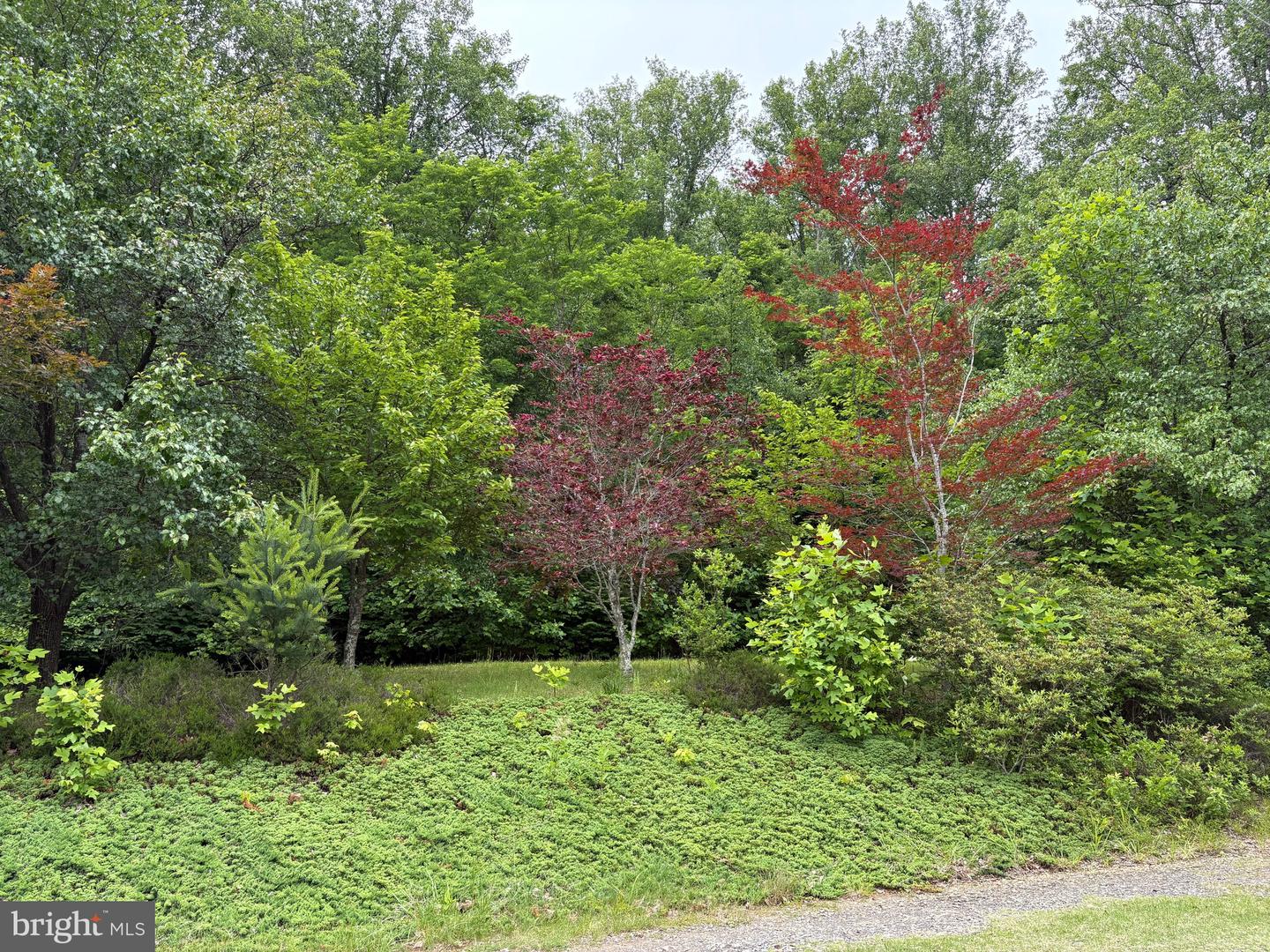 60 MOUNTAIN BREEZE LN, SYRIA, Virginia 22743, 5 Bedrooms Bedrooms, ,2 BathroomsBathrooms,Residential,For Sale,60 MOUNTAIN BREEZE LN,VAMA2002242 MLS # VAMA2002242