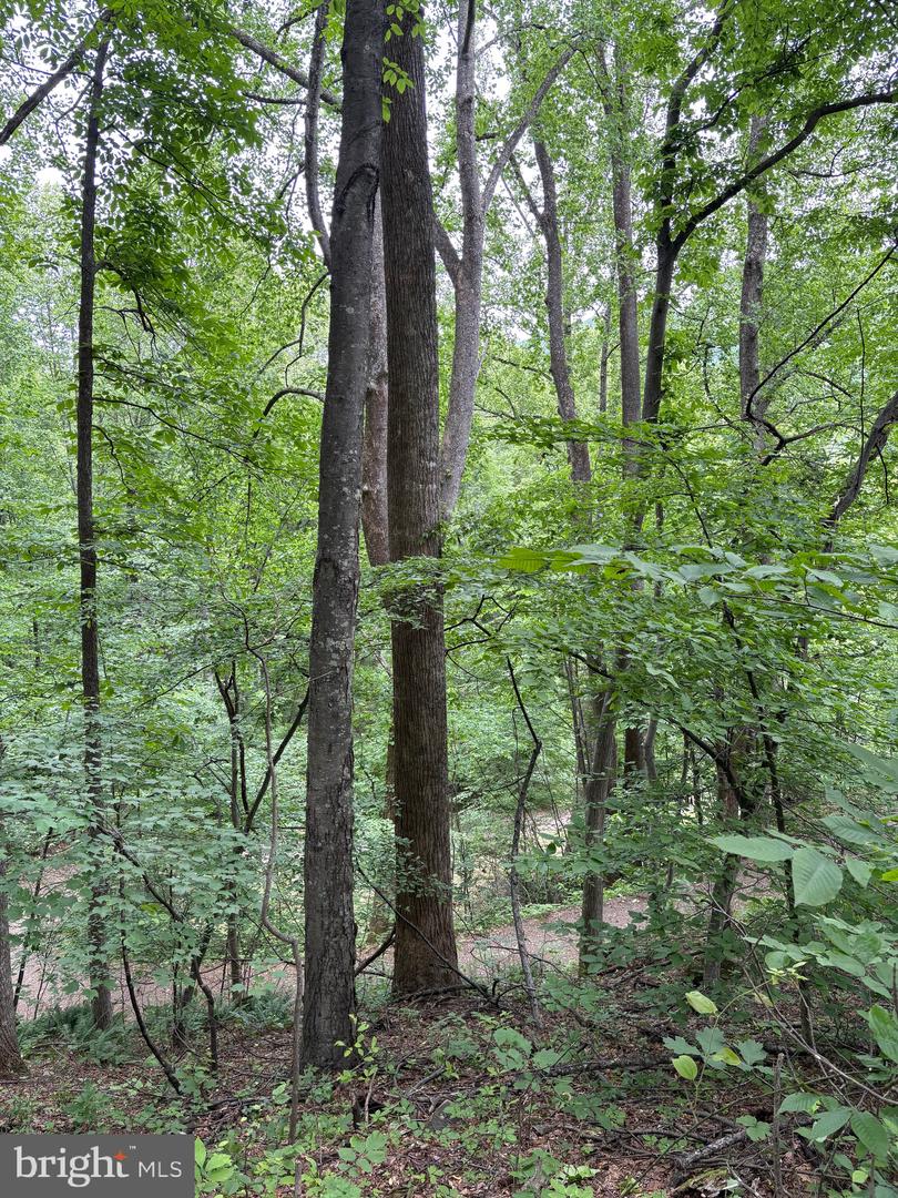 60 MOUNTAIN BREEZE LN, SYRIA, Virginia 22743, 5 Bedrooms Bedrooms, ,2 BathroomsBathrooms,Residential,For Sale,60 MOUNTAIN BREEZE LN,VAMA2002242 MLS # VAMA2002242