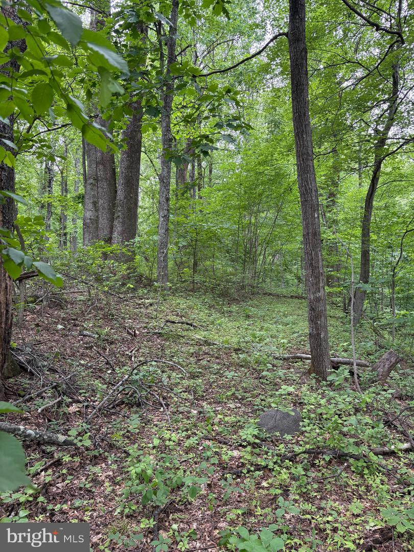 60 MOUNTAIN BREEZE LN, SYRIA, Virginia 22743, 5 Bedrooms Bedrooms, ,2 BathroomsBathrooms,Residential,For Sale,60 MOUNTAIN BREEZE LN,VAMA2002242 MLS # VAMA2002242