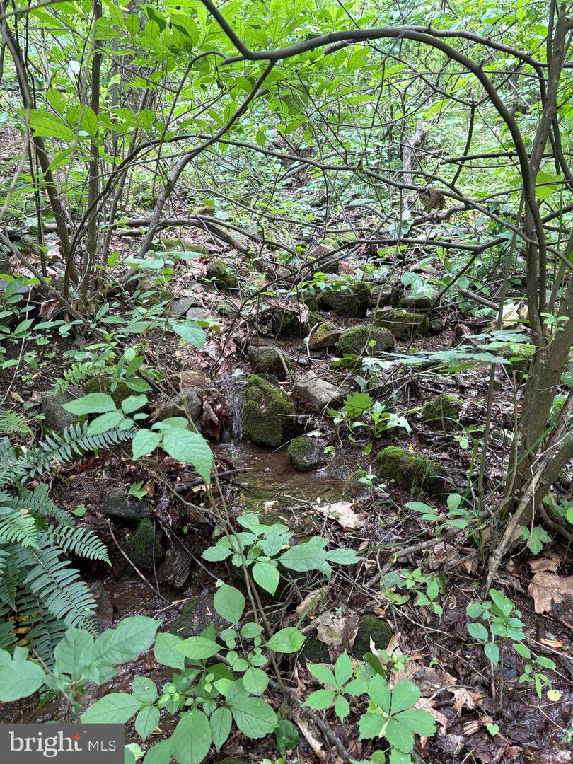 60 MOUNTAIN BREEZE LN, SYRIA, Virginia 22743, 5 Bedrooms Bedrooms, ,2 BathroomsBathrooms,Residential,For Sale,60 MOUNTAIN BREEZE LN,VAMA2002242 MLS # VAMA2002242