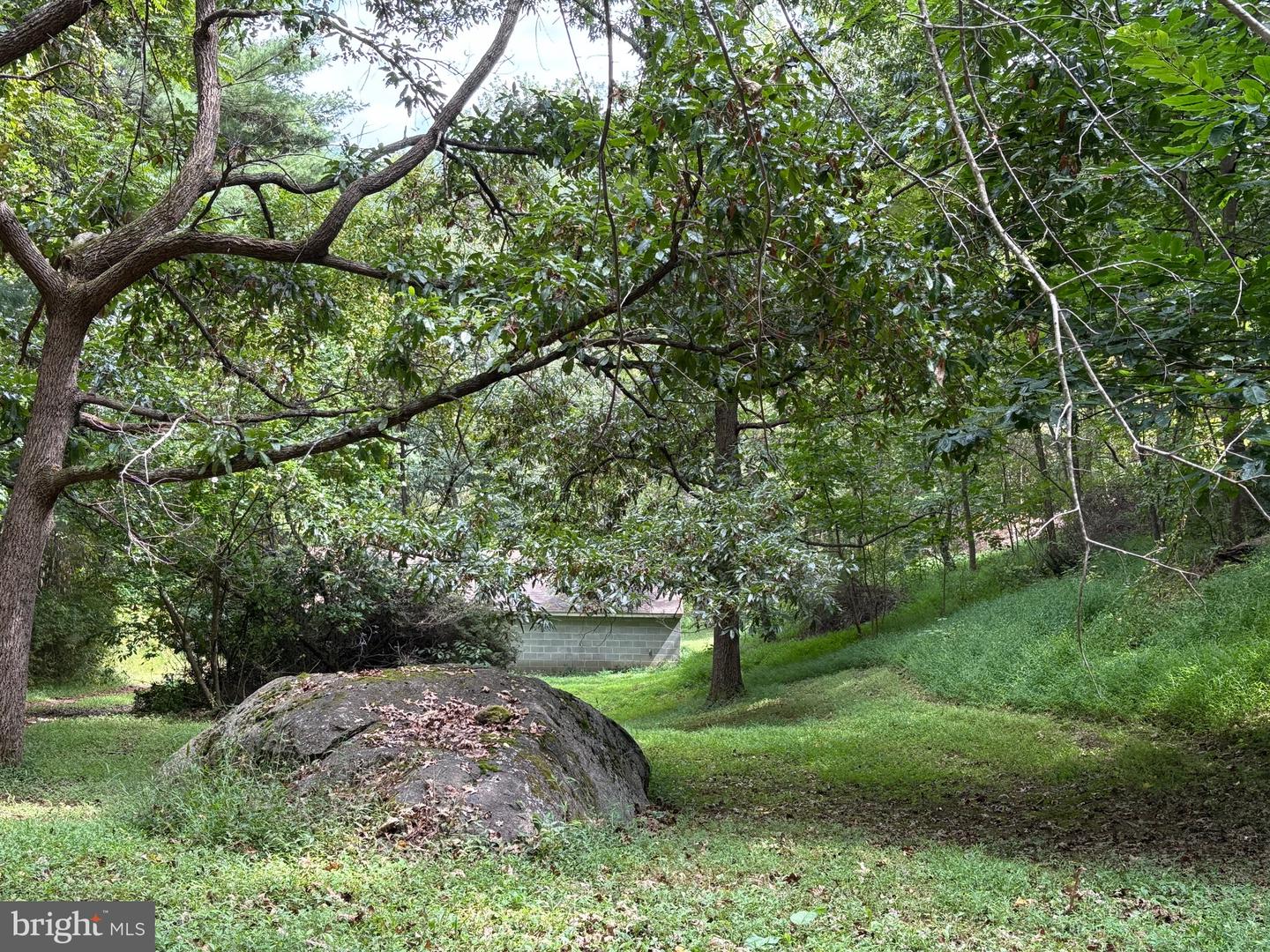 60 MOUNTAIN BREEZE LN, SYRIA, Virginia 22743, 5 Bedrooms Bedrooms, ,2 BathroomsBathrooms,Residential,For Sale,60 MOUNTAIN BREEZE LN,VAMA2002242 MLS # VAMA2002242