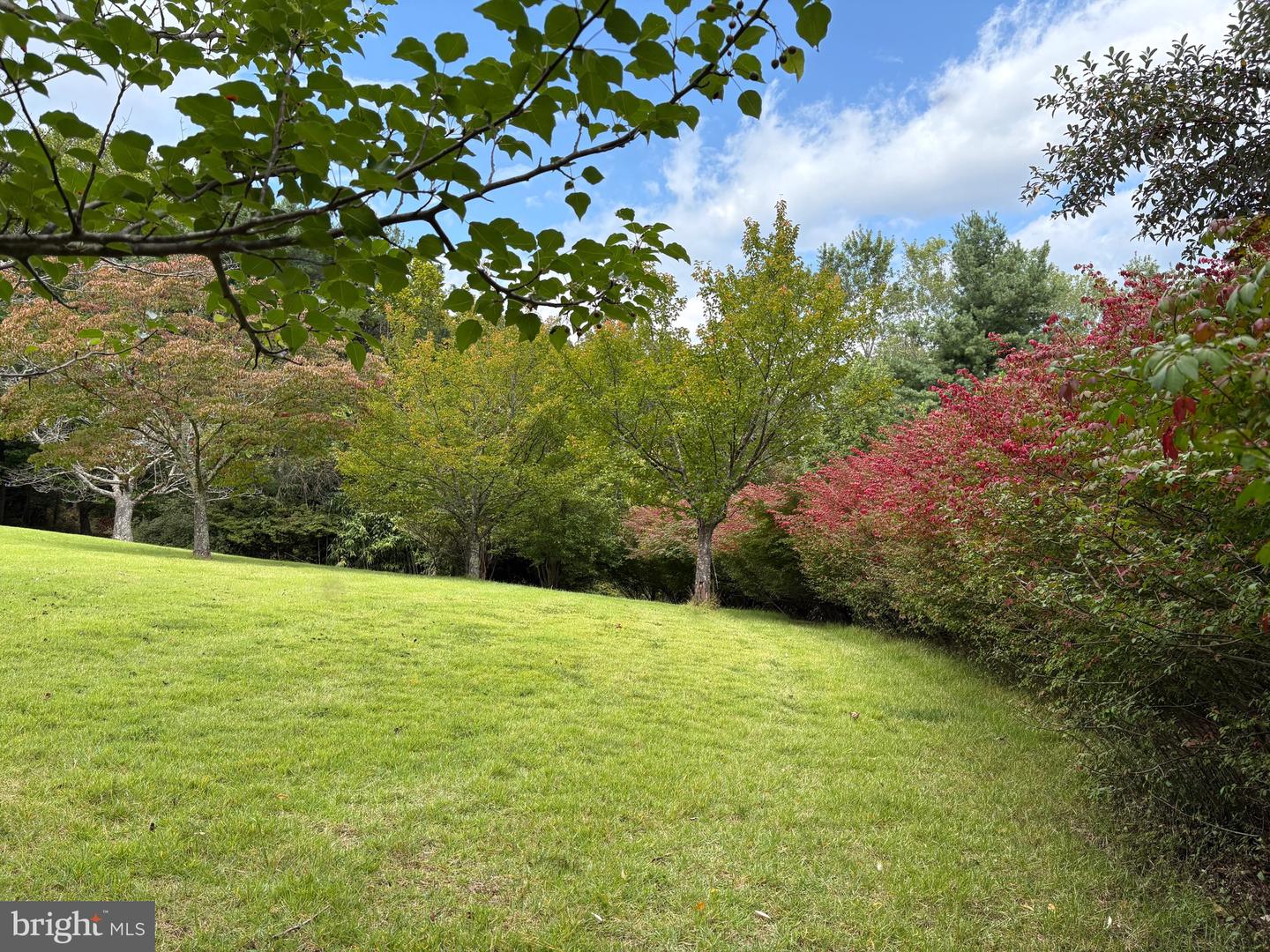 60 MOUNTAIN BREEZE LN, SYRIA, Virginia 22743, 5 Bedrooms Bedrooms, ,2 BathroomsBathrooms,Residential,For Sale,60 MOUNTAIN BREEZE LN,VAMA2002242 MLS # VAMA2002242