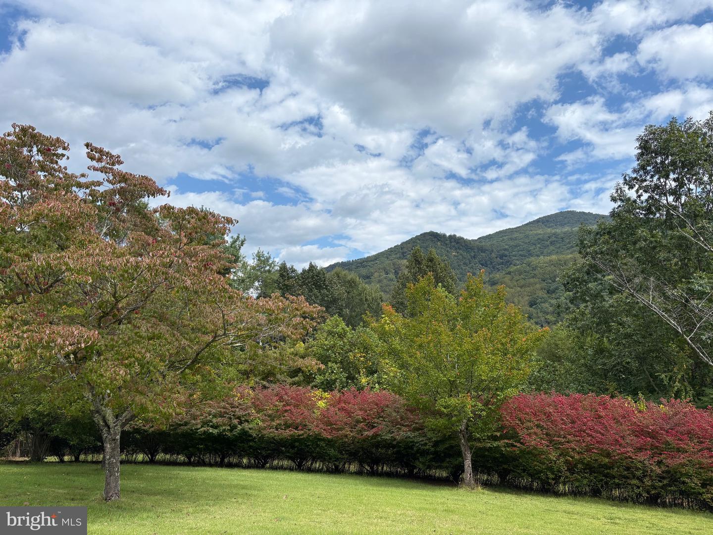 60 MOUNTAIN BREEZE LN, SYRIA, Virginia 22743, 5 Bedrooms Bedrooms, ,2 BathroomsBathrooms,Residential,For Sale,60 MOUNTAIN BREEZE LN,VAMA2002242 MLS # VAMA2002242