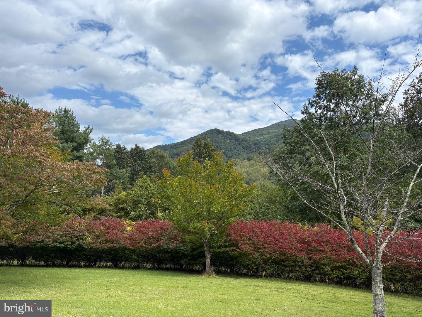 60 MOUNTAIN BREEZE LN, SYRIA, Virginia 22743, 5 Bedrooms Bedrooms, ,2 BathroomsBathrooms,Residential,For Sale,60 MOUNTAIN BREEZE LN,VAMA2002242 MLS # VAMA2002242