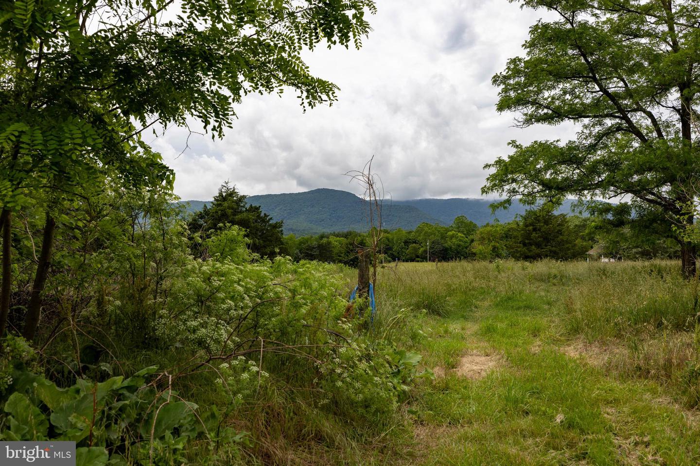 501 S FORK RD, LURAY, Virginia 22835, 3 Bedrooms Bedrooms, ,2 BathroomsBathrooms,Residential,For Sale,501 S FORK RD,VAPA2004970 MLS # VAPA2004970