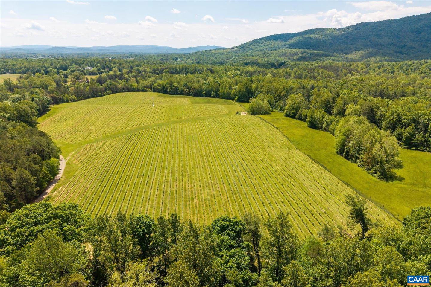 5190 SUGAR RIDGE RD, CROZET, Virginia 22932, 5 Bedrooms Bedrooms, ,4 BathroomsBathrooms,Residential,For Sale,5190 SUGAR RIDGE RD,665249 MLS # 665249 5190 SUGAR RIDGE RD, CROZET, Virginia 22932, 5 Bedrooms Bedrooms, ,4 BathroomsBathrooms,Residential,For Sale,5190 SUGAR RIDGE RD,665249 MLS # 665249