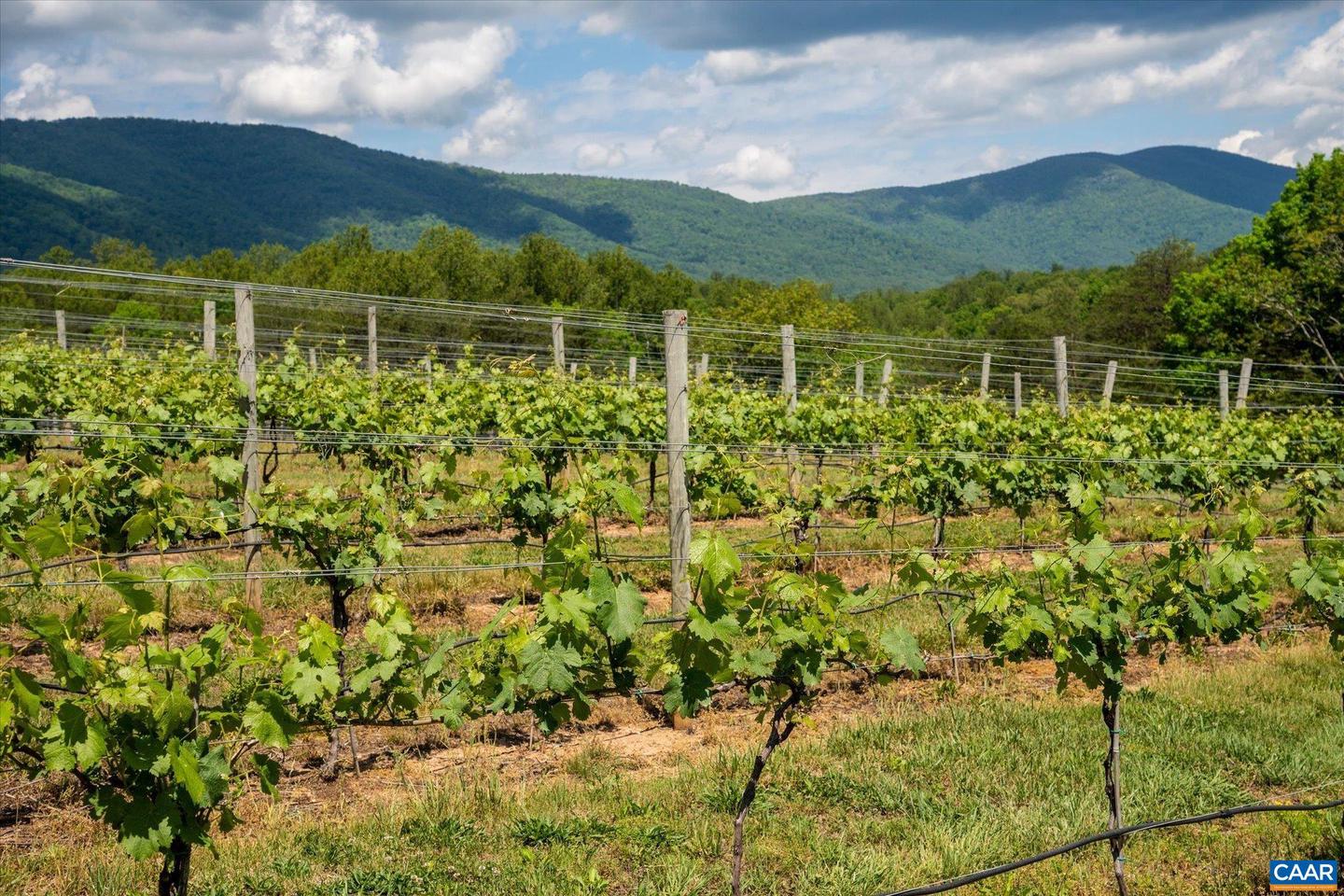 5190 SUGAR RIDGE RD, CROZET, Virginia 22932, 5 Bedrooms Bedrooms, ,4 BathroomsBathrooms,Residential,For Sale,5190 SUGAR RIDGE RD,665249 MLS # 665249 5190 SUGAR RIDGE RD, CROZET, Virginia 22932, 5 Bedrooms Bedrooms, ,4 BathroomsBathrooms,Residential,For Sale,5190 SUGAR RIDGE RD,665249 MLS # 665249