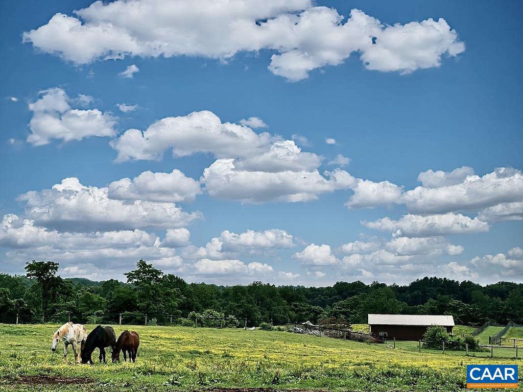 3111 S SEMINOLE TRL, MADISON, Virginia 22727, ,Farm,For Sale,3111 S SEMINOLE TRL,664862 MLS # 664862 3111 S SEMINOLE TRL, MADISON, Virginia 22727, ,Farm,For Sale,3111 S SEMINOLE TRL,664862 MLS # 664862