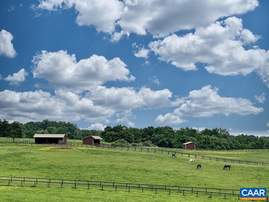 3111 S SEMINOLE TRL, MADISON, Virginia 22727, ,Farm,For Sale,3111 S SEMINOLE TRL,664862 MLS # 664862 3111 S SEMINOLE TRL, MADISON, Virginia 22727, ,Farm,For Sale,3111 S SEMINOLE TRL,664862 MLS # 664862