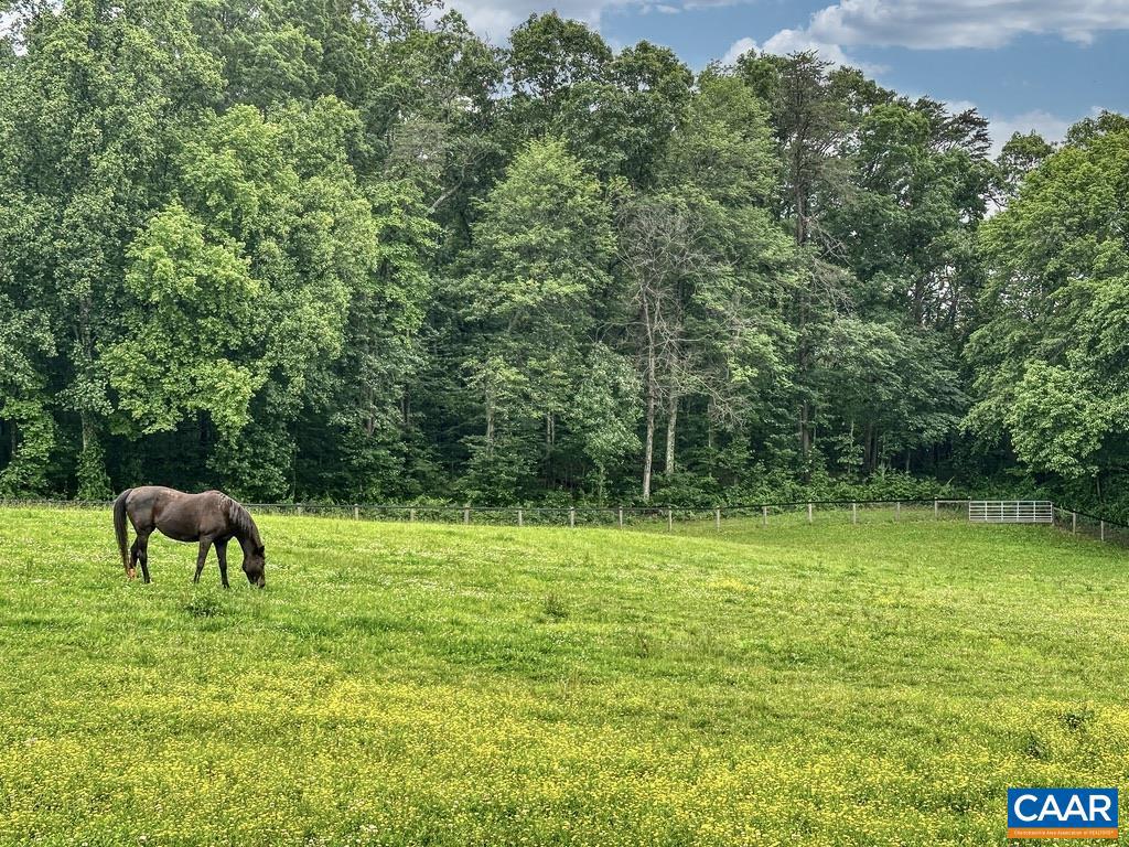 3111 S SEMINOLE TRL, MADISON, Virginia 22727, ,Farm,For Sale,3111 S SEMINOLE TRL,664862 MLS # 664862 3111 S SEMINOLE TRL, MADISON, Virginia 22727, ,Farm,For Sale,3111 S SEMINOLE TRL,664862 MLS # 664862