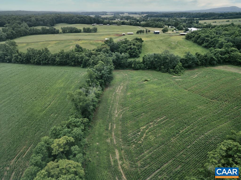 3111 S SEMINOLE TRL, MADISON, Virginia 22727, ,Farm,For Sale,3111 S SEMINOLE TRL,664862 MLS # 664862 3111 S SEMINOLE TRL, MADISON, Virginia 22727, ,Farm,For Sale,3111 S SEMINOLE TRL,664862 MLS # 664862