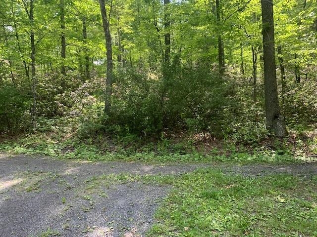 625 HUMMINGBIRD LN, MONTEREY, Virginia 24465, 3 Bedrooms Bedrooms, ,3 BathroomsBathrooms,Residential,14,625 HUMMINGBIRD LN,665291 MLS # 665291