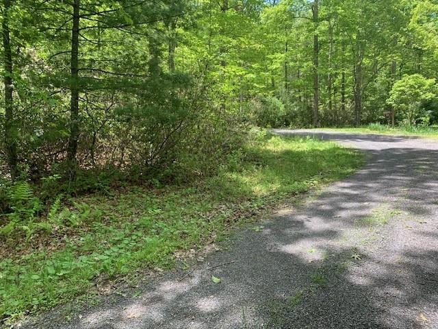 625 HUMMINGBIRD LN, MONTEREY, Virginia 24465, 3 Bedrooms Bedrooms, ,3 BathroomsBathrooms,Residential,14,625 HUMMINGBIRD LN,665291 MLS # 665291