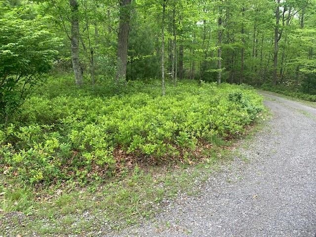 625 HUMMINGBIRD LN, MONTEREY, Virginia 24465, 3 Bedrooms Bedrooms, ,3 BathroomsBathrooms,Residential,14,625 HUMMINGBIRD LN,665291 MLS # 665291