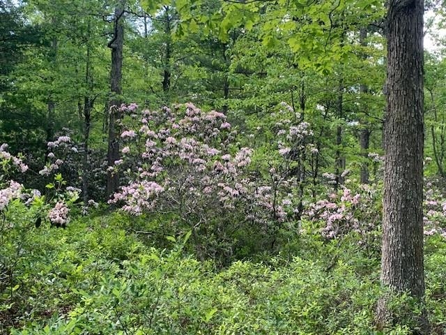 625 HUMMINGBIRD LN, MONTEREY, Virginia 24465, 3 Bedrooms Bedrooms, ,3 BathroomsBathrooms,Residential,14,625 HUMMINGBIRD LN,665291 MLS # 665291