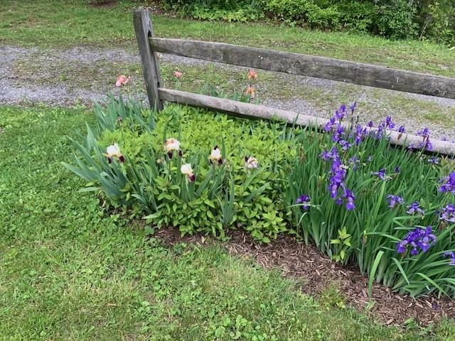 625 HUMMINGBIRD LN, MONTEREY, Virginia 24465, 3 Bedrooms Bedrooms, ,3 BathroomsBathrooms,Residential,14,625 HUMMINGBIRD LN,665291 MLS # 665291