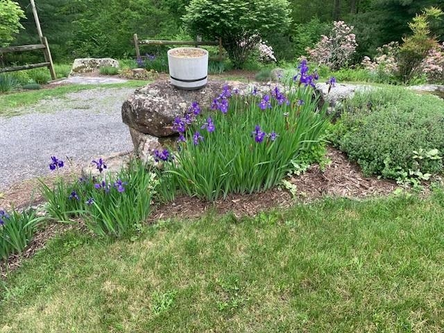 625 HUMMINGBIRD LN, MONTEREY, Virginia 24465, 3 Bedrooms Bedrooms, ,3 BathroomsBathrooms,Residential,14,625 HUMMINGBIRD LN,665291 MLS # 665291