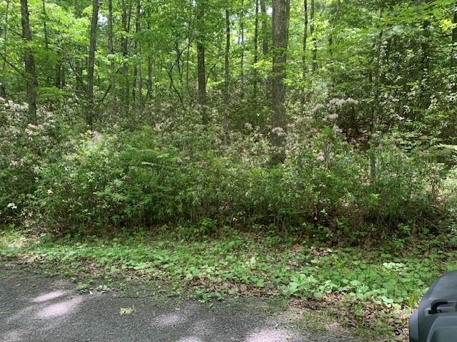 625 HUMMINGBIRD LN, MONTEREY, Virginia 24465, 3 Bedrooms Bedrooms, ,3 BathroomsBathrooms,Residential,14,625 HUMMINGBIRD LN,665291 MLS # 665291