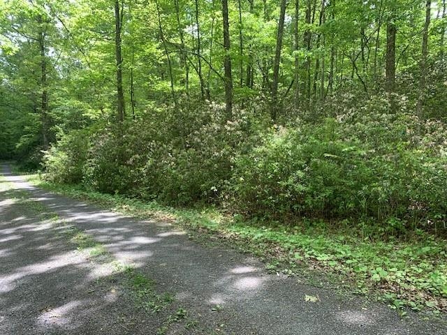 625 HUMMINGBIRD LN, MONTEREY, Virginia 24465, 3 Bedrooms Bedrooms, ,3 BathroomsBathrooms,Residential,14,625 HUMMINGBIRD LN,665291 MLS # 665291