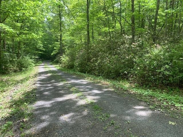 625 HUMMINGBIRD LN, MONTEREY, Virginia 24465, 3 Bedrooms Bedrooms, ,3 BathroomsBathrooms,Residential,14,625 HUMMINGBIRD LN,665291 MLS # 665291