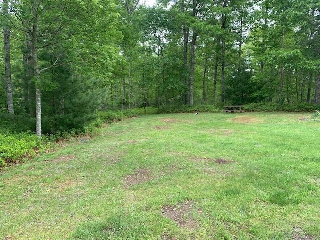 625 HUMMINGBIRD LN, MONTEREY, Virginia 24465, 3 Bedrooms Bedrooms, ,3 BathroomsBathrooms,Residential,14,625 HUMMINGBIRD LN,665291 MLS # 665291