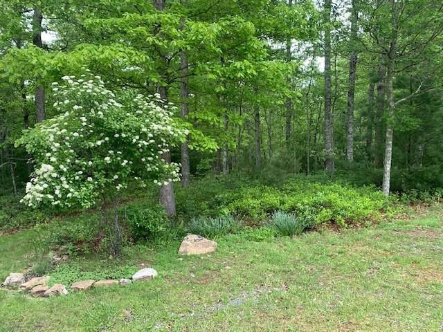 625 HUMMINGBIRD LN, MONTEREY, Virginia 24465, 3 Bedrooms Bedrooms, ,3 BathroomsBathrooms,Residential,14,625 HUMMINGBIRD LN,665291 MLS # 665291